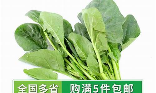 线上菠菜注册：菠菜优惠担保(菠菜贷是什么意思)